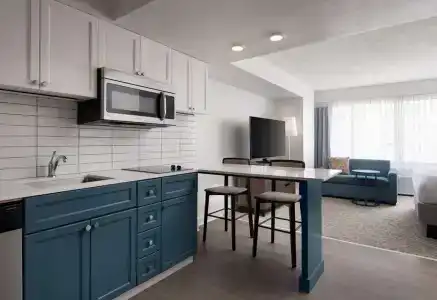 Sonesta ES Suites Chicago Downtown Magnificent Mile - 44