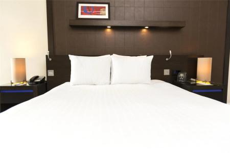 Hilton London Canary Wharf - 47