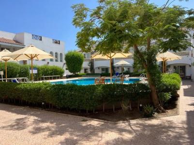 Camel Dive Club & - Boutique - 12
