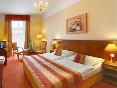 Ensana Centrální Lázně - Maria Spa - 49