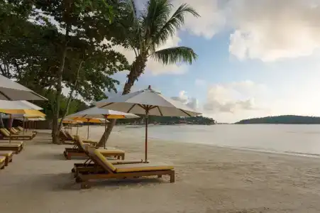 Sala Samui Chaweng Beach Resort - Sha Plus - 16