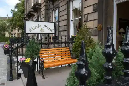 Thistle - 26