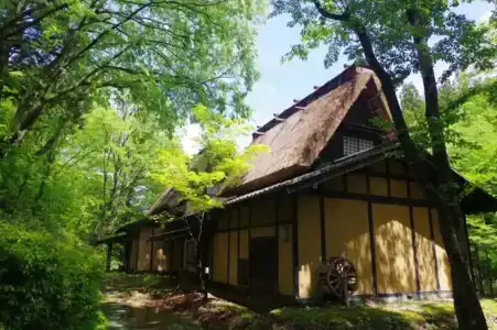 Wanosato - 36