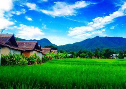Pho Rak Nah - 4