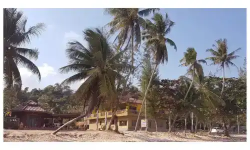 Tawan - 33