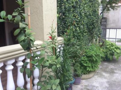 Агмашенебели, 229 - 12