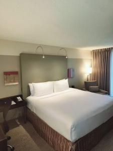 Crowne Plaza - Chicago West Loop, An Ihg - 42