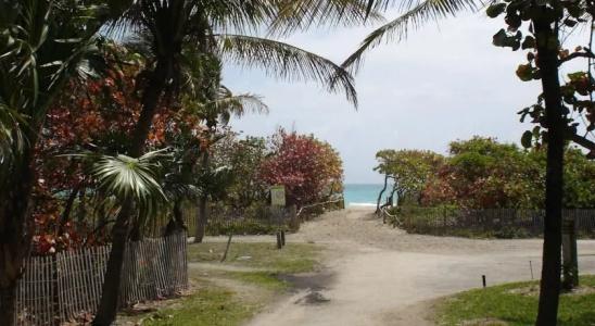 Beach Corner - 14