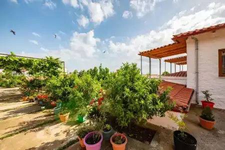 Guest House Luiza - 14
