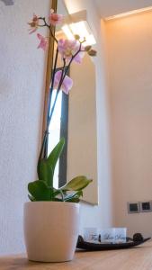 Costa Domus Blue Luxury - 17
