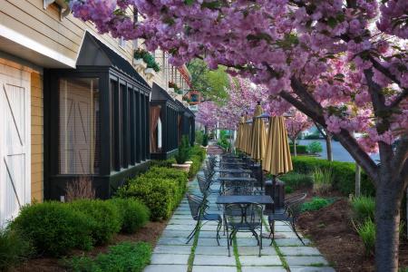 The Inn at Leola Village - 16