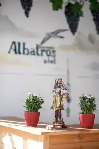 Альбатрос - 1