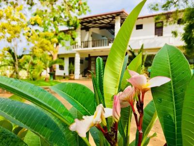 Saman Resort Yala - 39