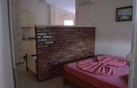 RIDAL - 29