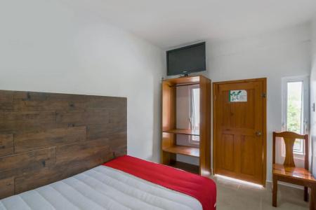 Palma Real - 22