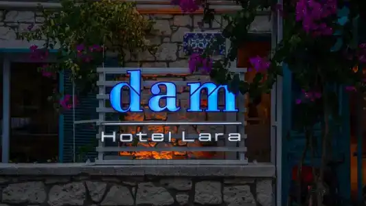 DAM Lara - 27