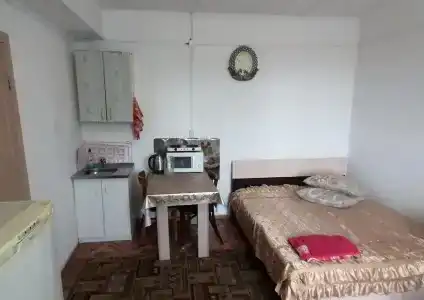 Березка - 4