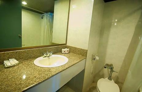 Grand Plaza - 43
