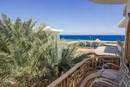 Shams & Dive Centre - 15