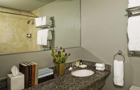 Holiday Inn Express New Orleans - St Charles, An Ihg - 41