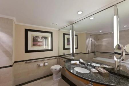 Hilton Buenos Aires - 55