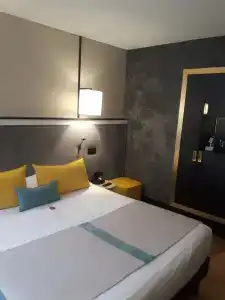 Hôtel Le Roosevelt - 25