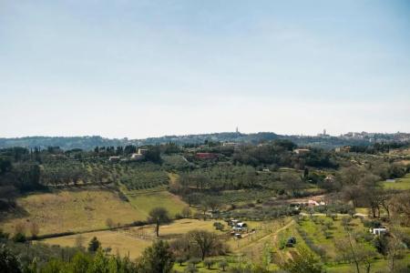 Locanda Stella - 22