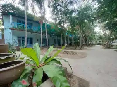 Banana Beach Resort - 60