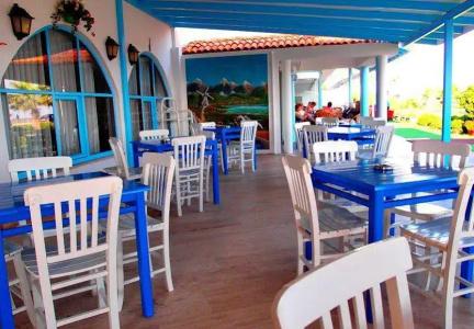 Olivera Resort - 27