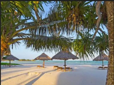 Pongwe Bay - 51
