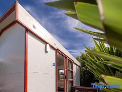 Nelson City Top 10 Holiday Park - 47
