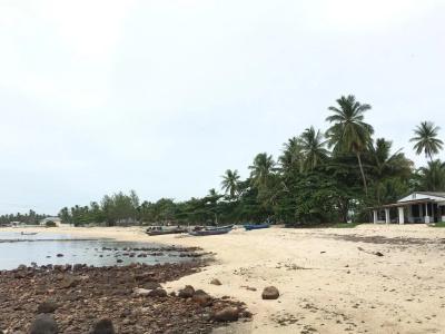 Sea Stone - 10