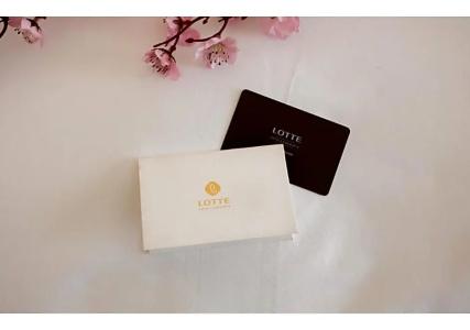 Lotte Saigon - 52