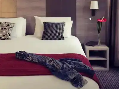 Mercure Annecy Centre - 76