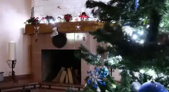 Золотой Лев - 16