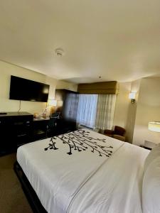 Sleep Inn and Suites Central / I-44 - 19
