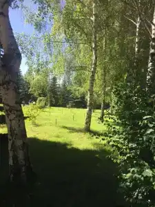 Тулпар - 8