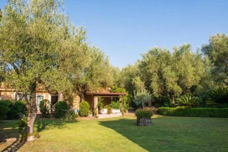 Residence e B&B Villamirella - 153