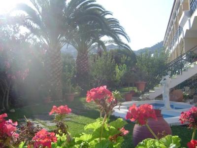 Paradise - 8