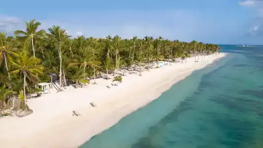 Catalonia Royal Bavaro - All Inclusive - Adults Only - 23