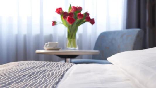 Sachsenpark-Hotel - 24