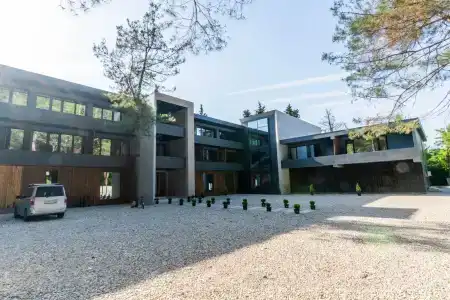 Guma - 10