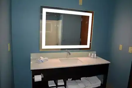 Microtel Inn & Suites by Wyndham College Station - 75