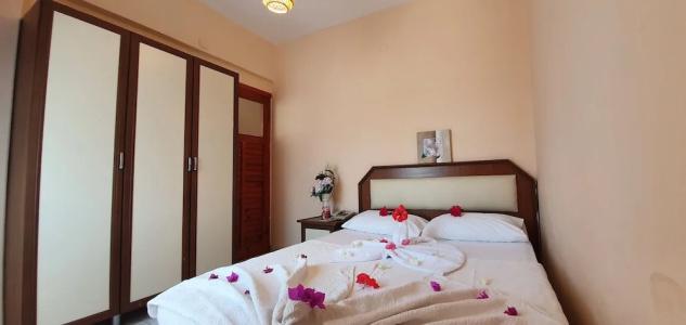 Palmen Apart - 122