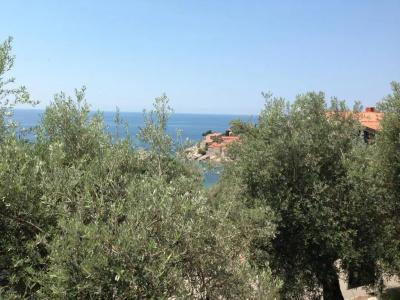 Guest House Sea Breeze - 11