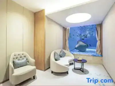 Dali Manju Ocean - 43
