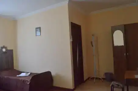 Фиалка - 3