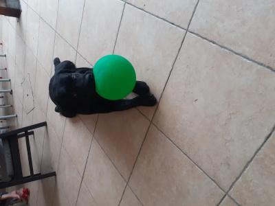 Migani Spiaggia - 18