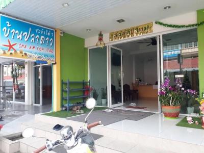 Cha-Am Fish Star - 5