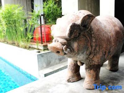 Sleep Mai Thapae Chiang Mai Old City Lifestyle - Sha Plus - 32